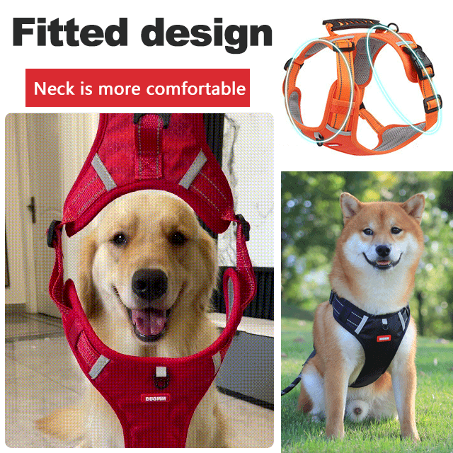 🐶🐶🐶【5-30KG】Szelki dla psa bez ciągnięcia dla zwierząt domowych